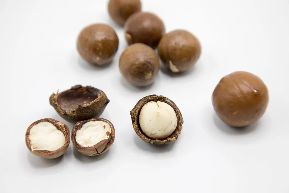 Noix de macadamia entières et ouvertes