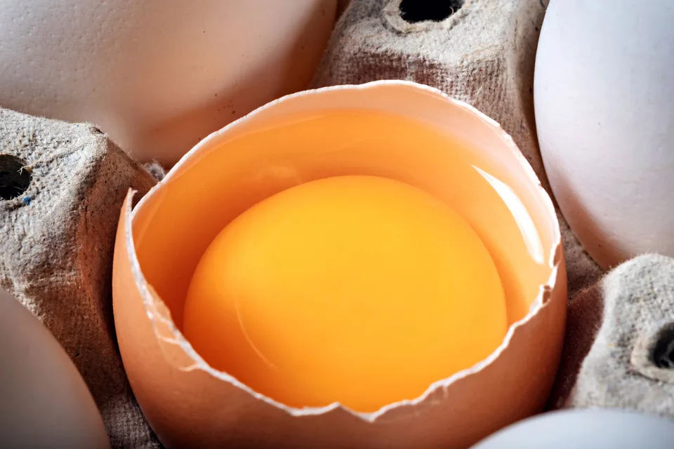 Oeuf cru cassé dans sa boîte