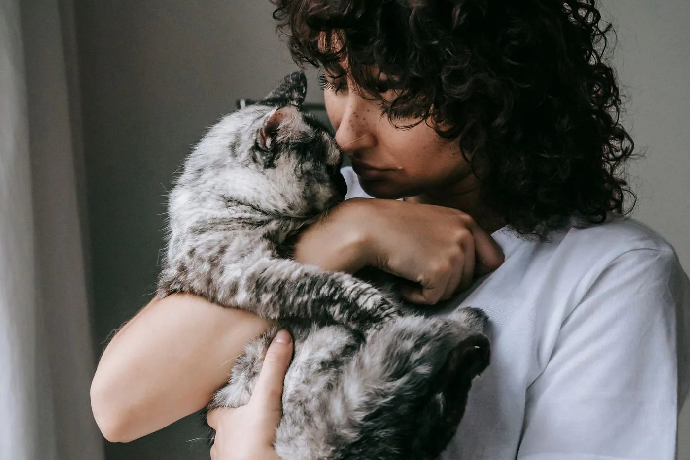 Jeune femme aux cheveux bouclés serrant contre elle un chat gris adopté, dans un salon lumineux