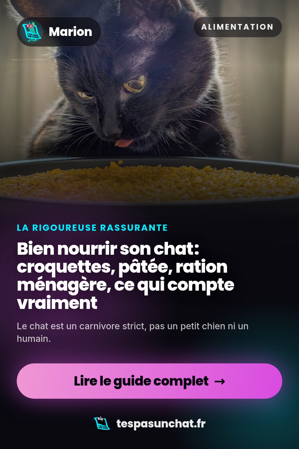 Bien nourrir son chat : croquettes, pâtée, ration ménagère, ce qui compte vraiment