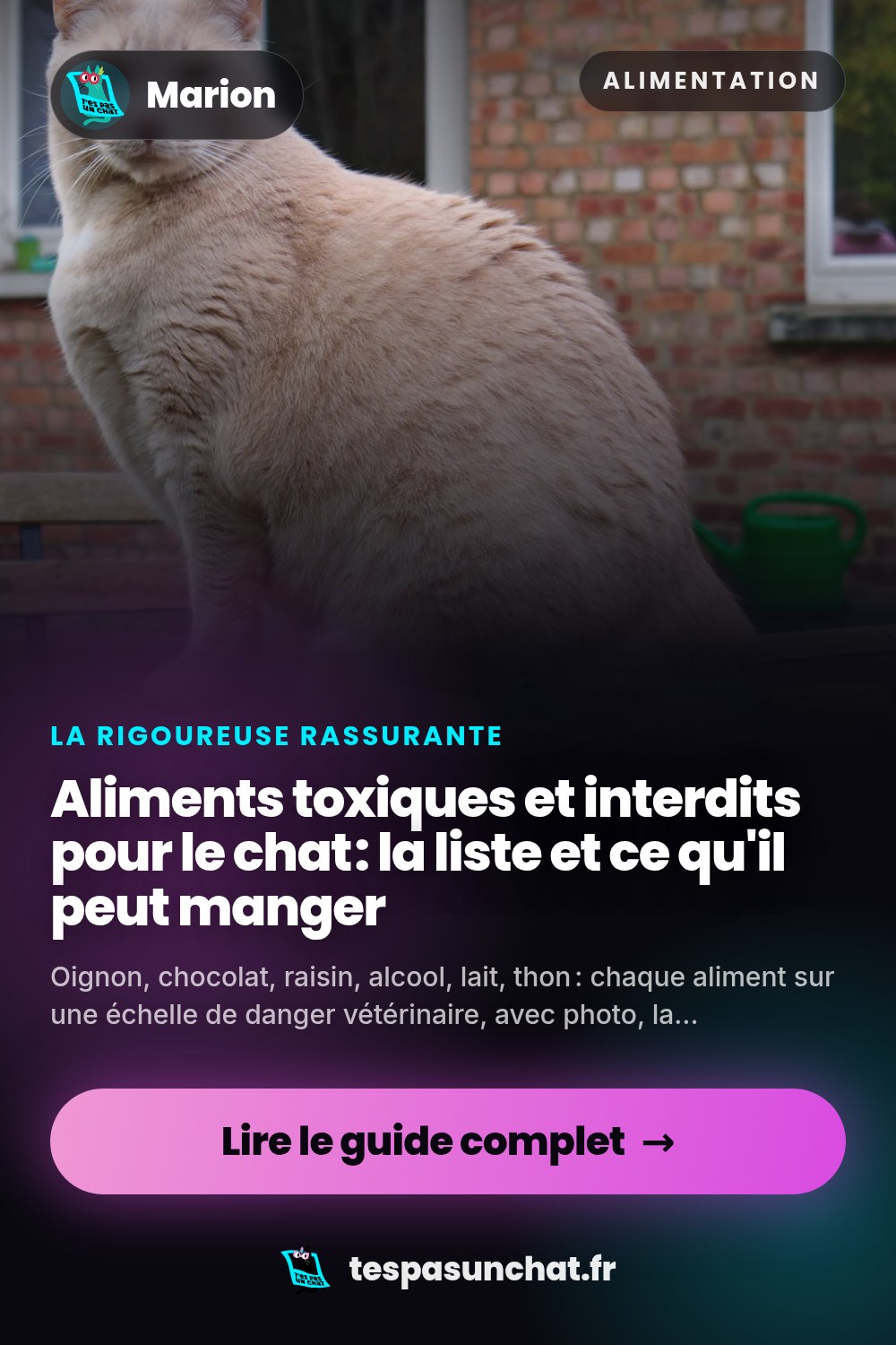 Aliments toxiques et interdits pour le chat : la liste et ce qu'il peut manger