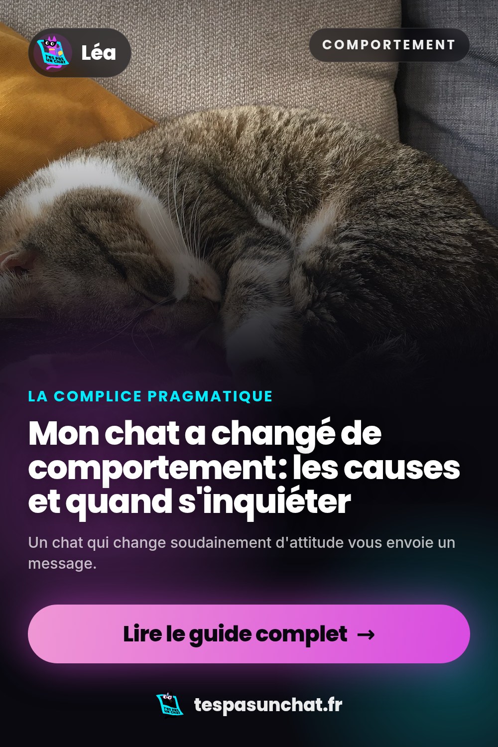 Mon chat a changé de comportement : les causes et quand s'inquiéter