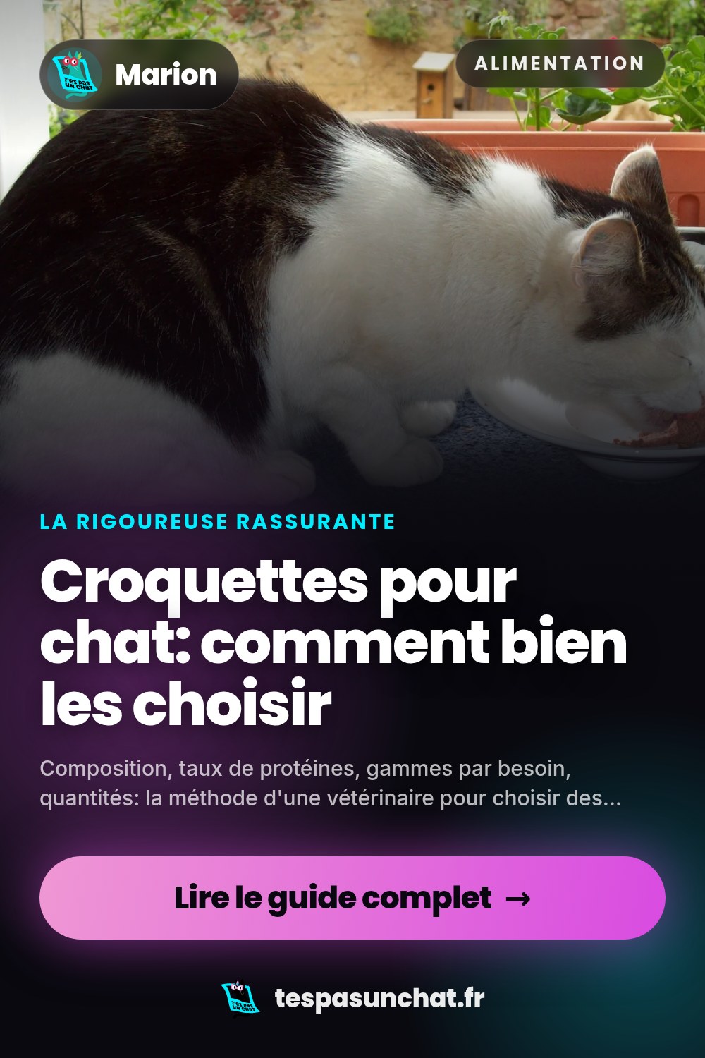 Croquettes pour chat: comment bien les choisir