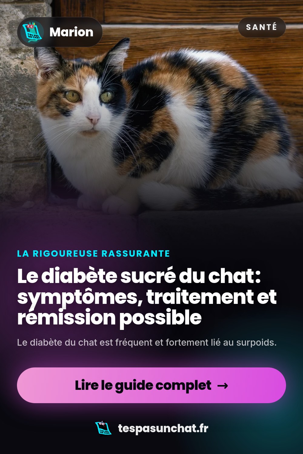 Le diabète sucré du chat : symptômes, traitement et rémission possible