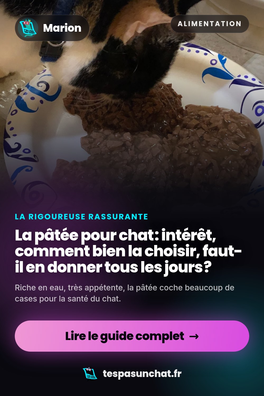 La pâtée pour chat : intérêt, comment bien la choisir, faut-il en donner tous les jours ?