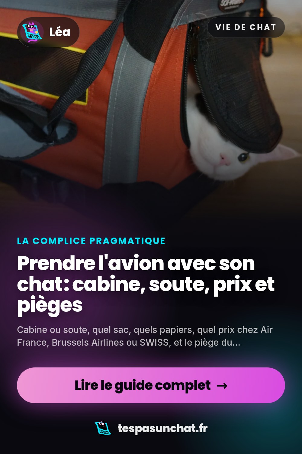 Prendre l'avion avec son chat : cabine, soute, prix et pièges