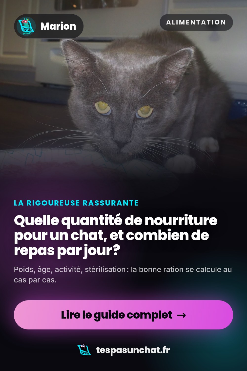 Quelle quantité de nourriture pour un chat, et combien de repas par jour ?