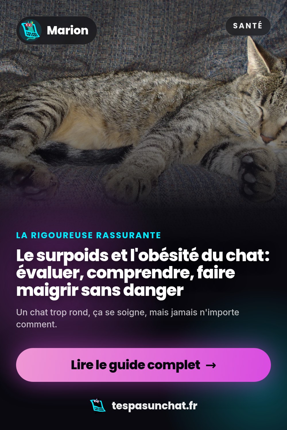 Le surpoids et l'obésité du chat : évaluer, comprendre, faire maigrir sans danger