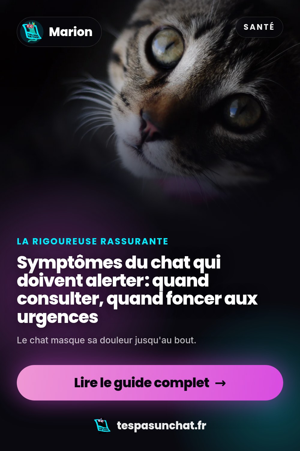 Symptômes du chat qui doivent alerter : quand consulter, quand foncer aux urgences