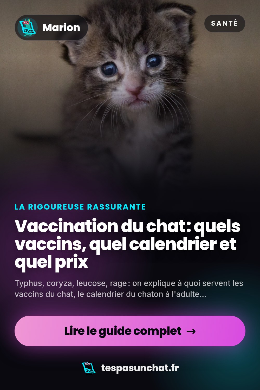 Vaccination du chat : quels vaccins, quel calendrier et quel prix