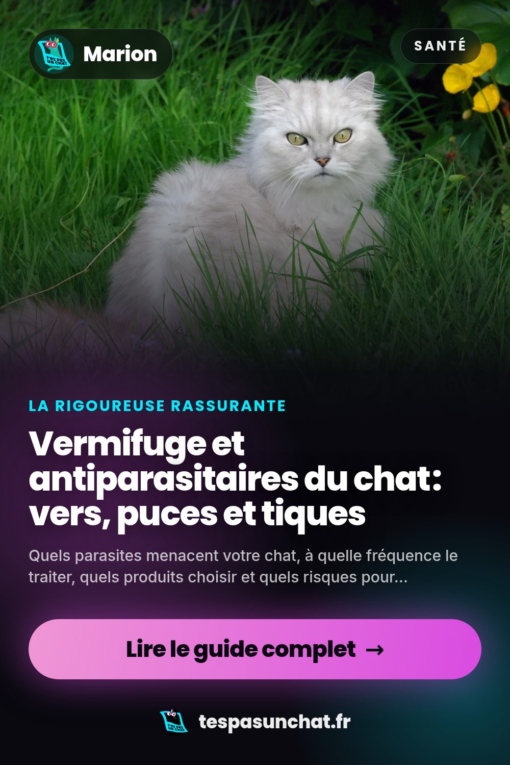 Vermifuge et antiparasitaires du chat : vers, puces et tiques