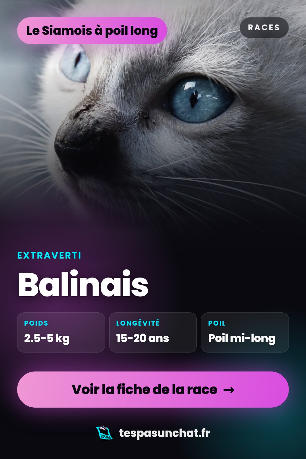 Balinais : le guide complet