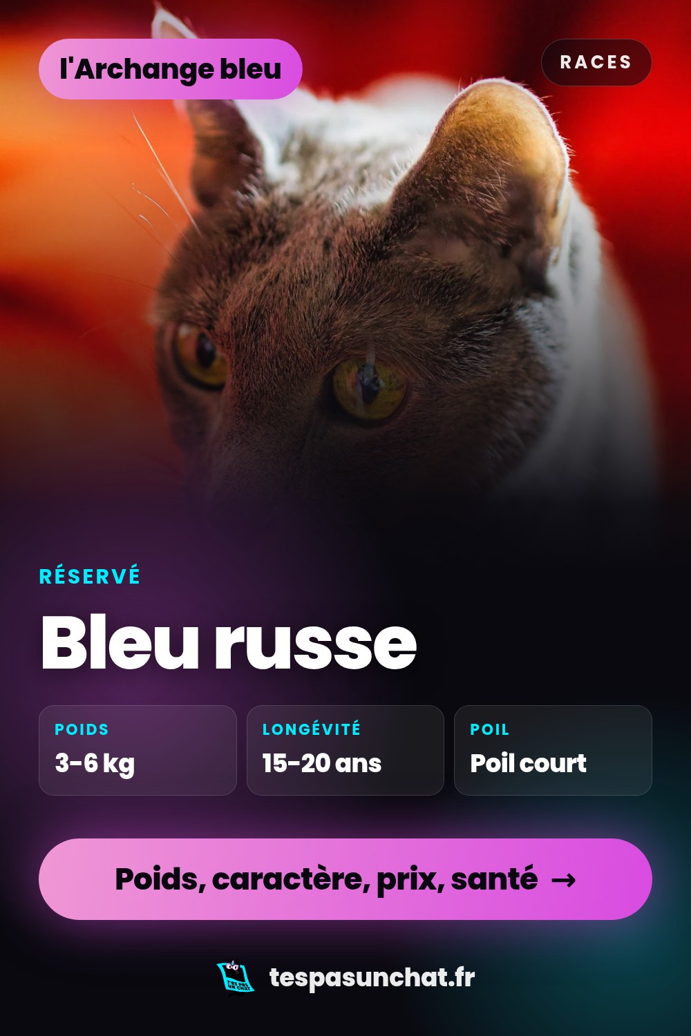 Bleu russe : le guide complet