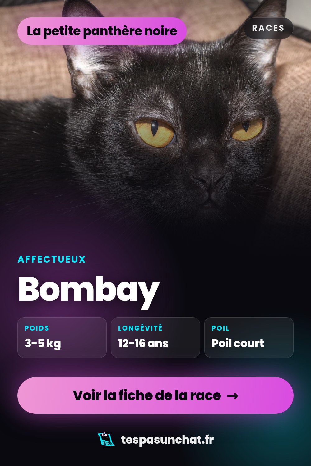 Bombay : le guide complet