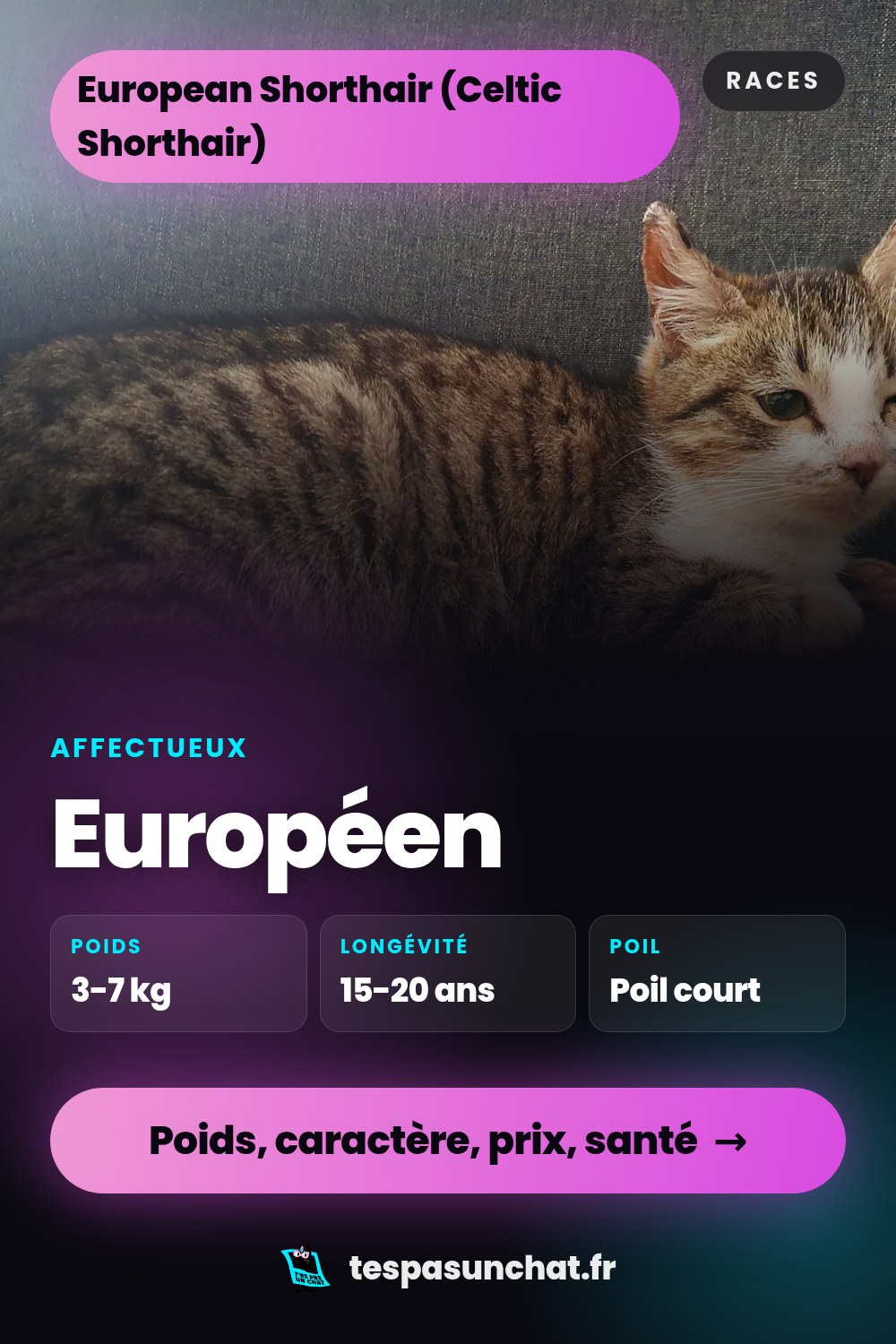 Européen : le guide complet