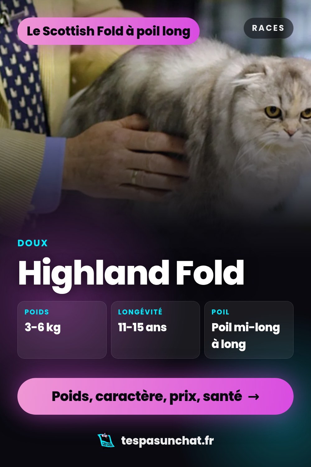 Highland Fold : le guide complet