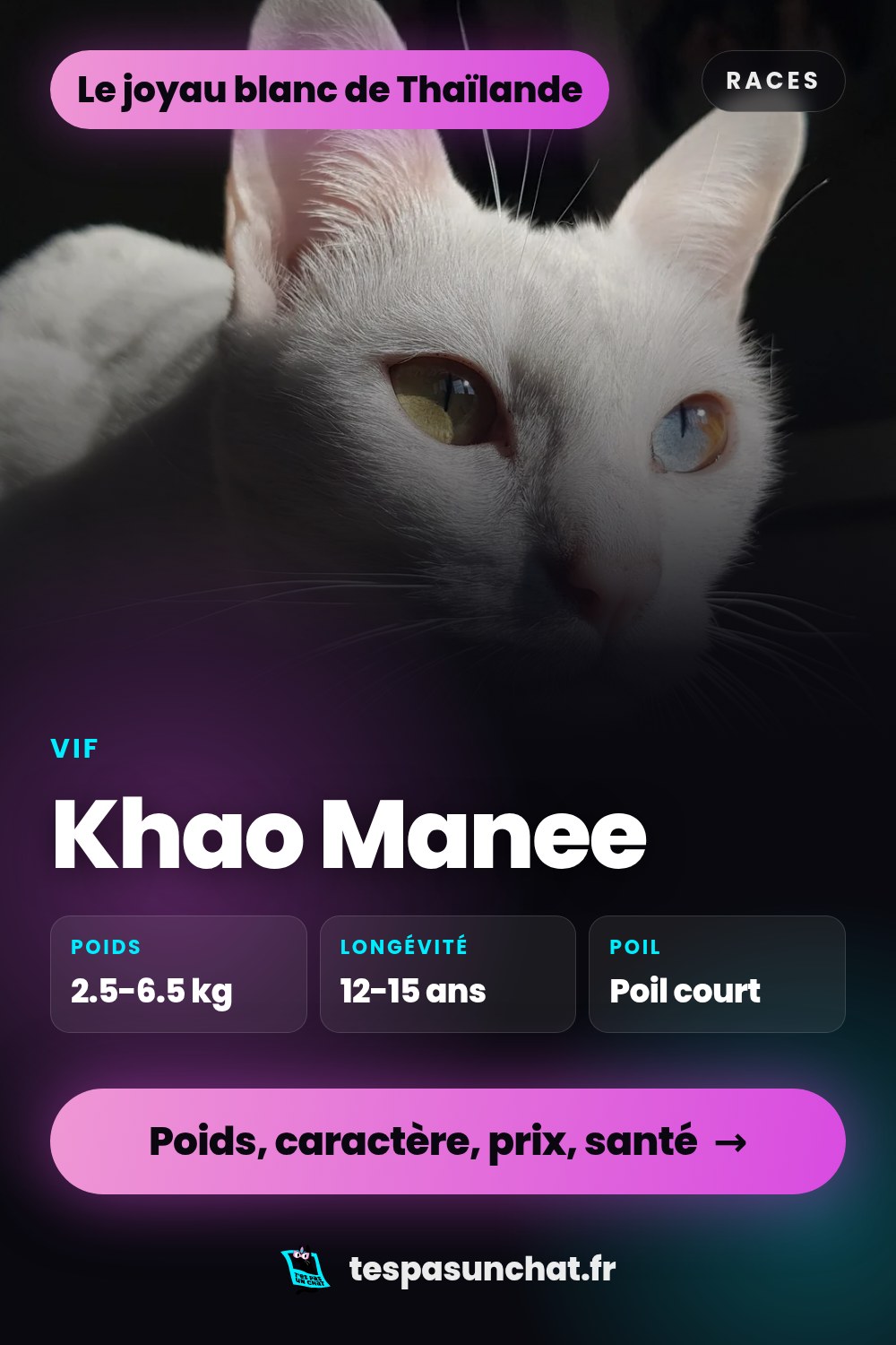Khao Manee : le guide complet