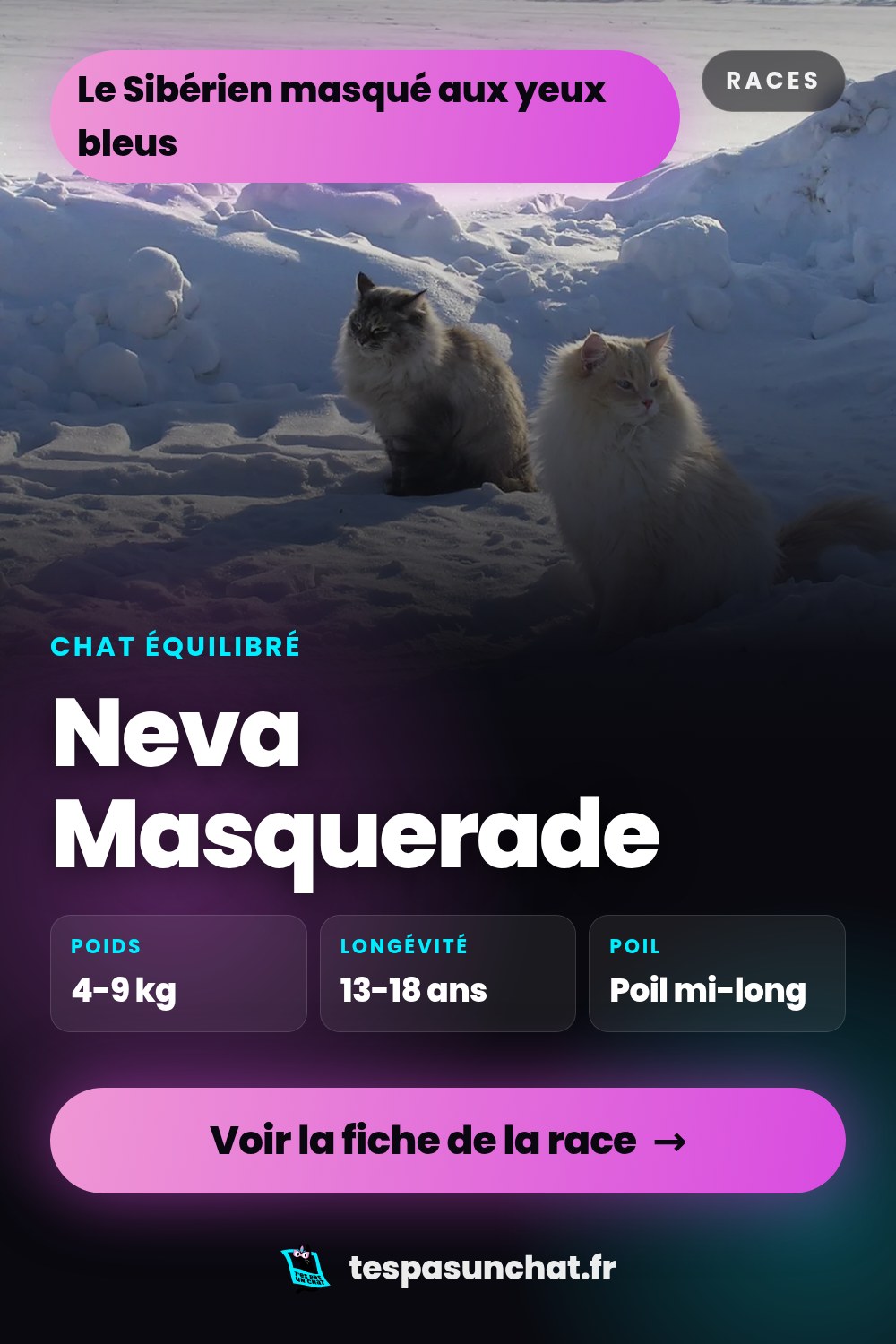 Neva Masquerade : le guide complet