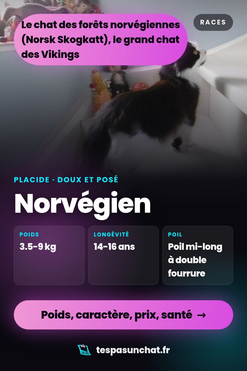 Norvégien : le guide complet