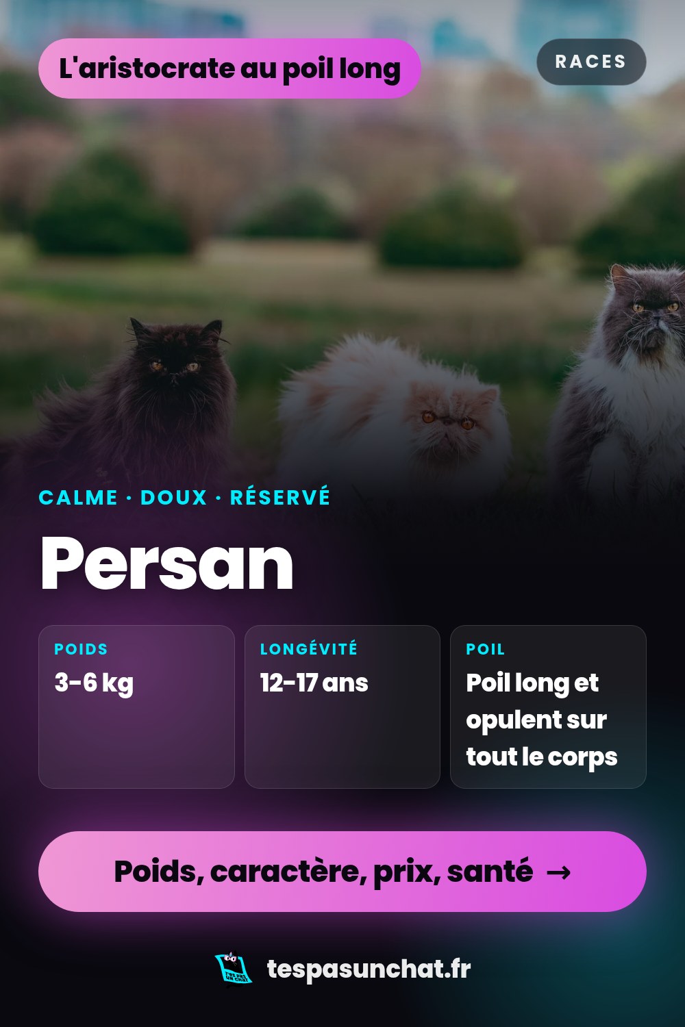 Persan : le guide complet