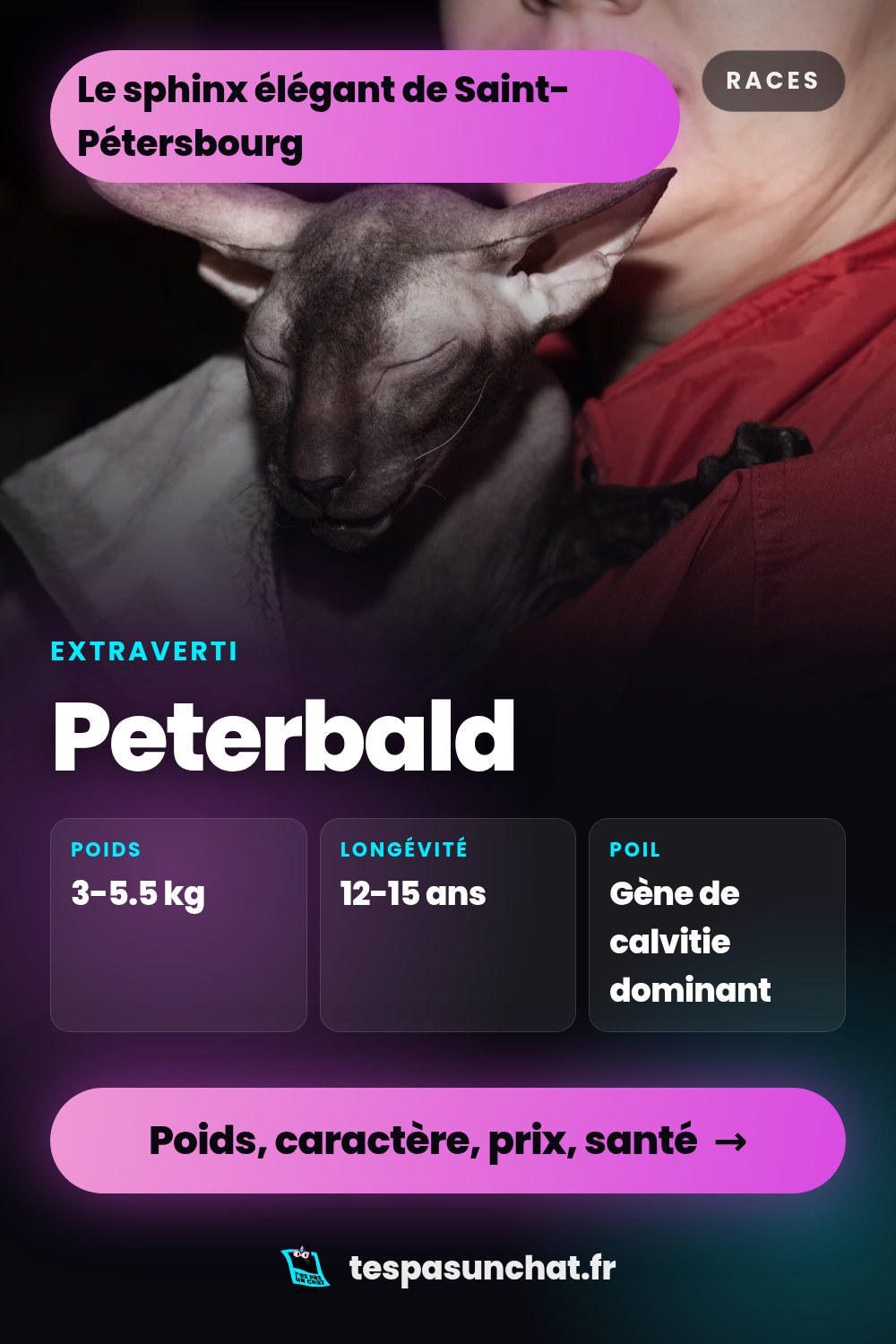 Peterbald : le guide complet