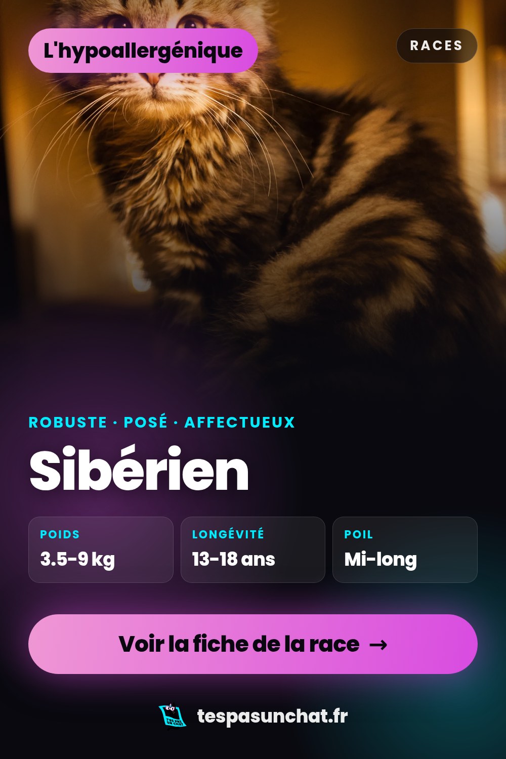 Sibérien : le guide complet