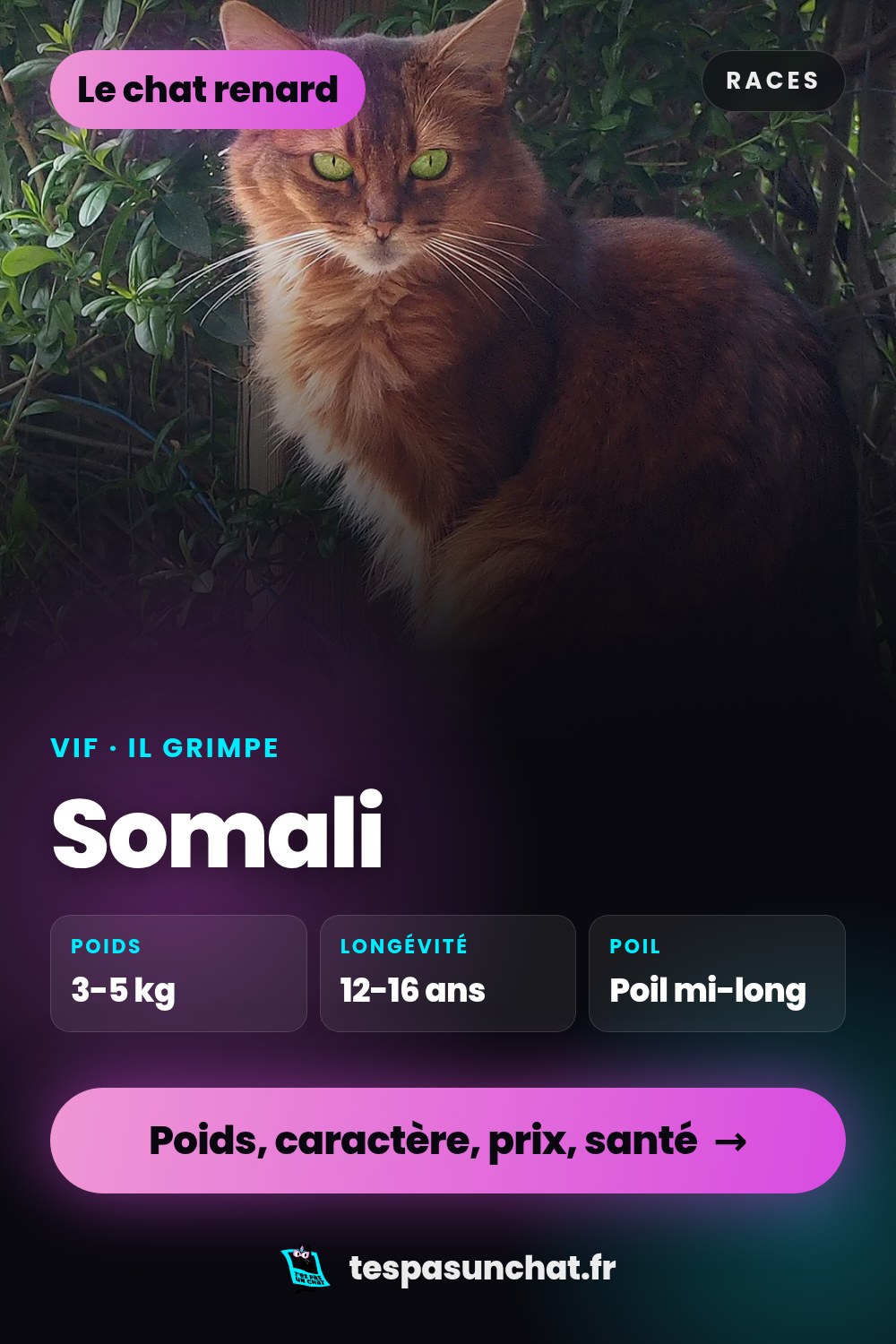 Somali : le guide complet