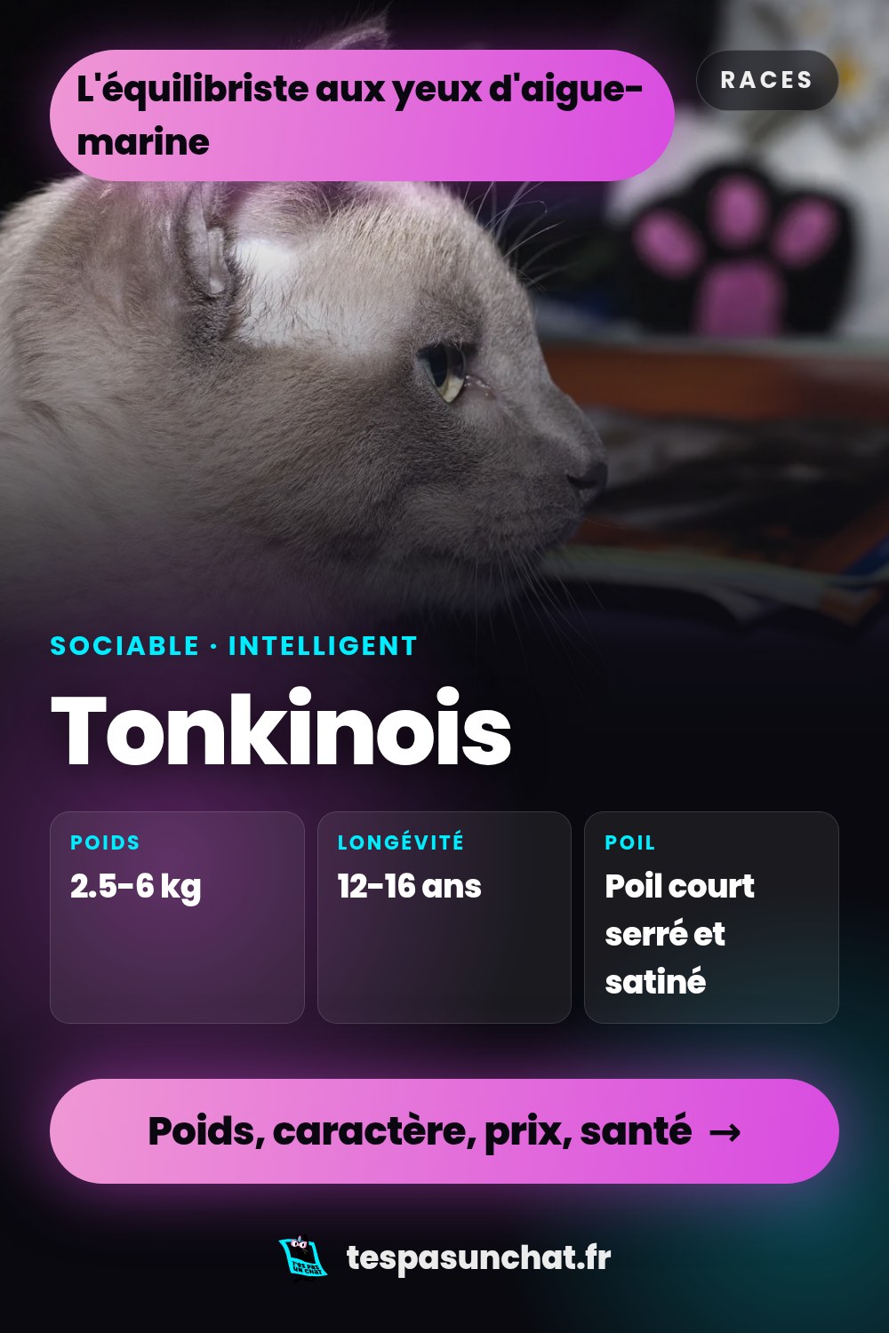 Tonkinois : le guide complet